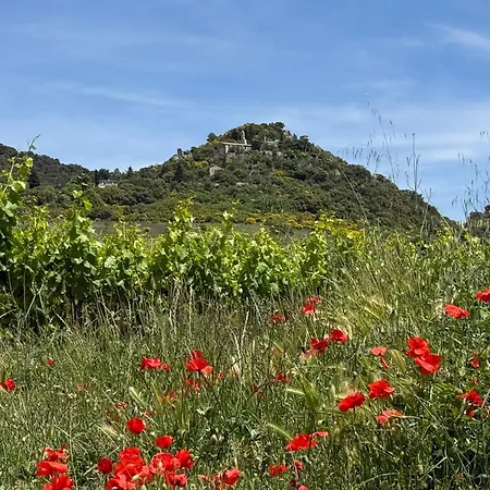 De La Gloriette Mérindol-les-Oliviers